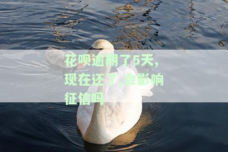花呗逾期五天后还款，会影响额度和使用吗？