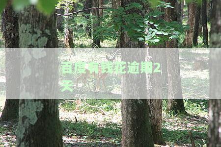 有钱花逾期两天影响征信吗，有钱花逾期两天是否会影响个人征信记录？
