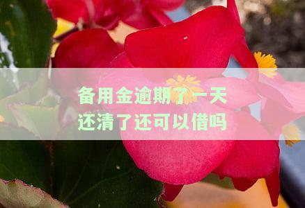 备用金逾期一天后还清,会影响信用吗，备用金逾期一天还款，会损害你的信用记录吗？