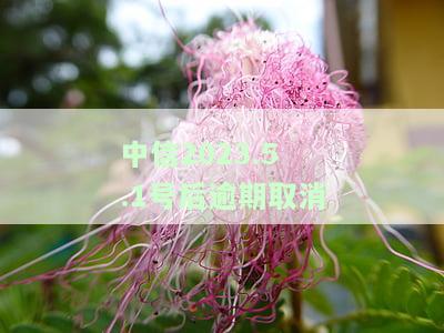 中信银行的信用卡逾期提醒与减免政策全解析