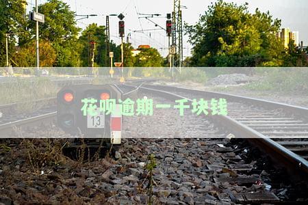 花呗逾期1000元会纳入法院失信名单吗，逾期1000元的花呗是否会导致被纳入法院失信名单？