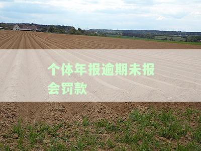 个体年报逾期未报会罚款嘛，逾期未报个体年报会导致罚款吗？