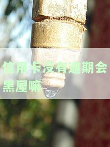 用信用卡没逾期是否会体现在征信上？