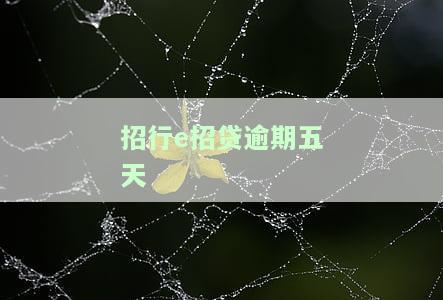 e招贷逾期四天有影响吗，关于'e招贷逾期四天'的影响，你需要了解这些事情！