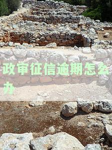 政审征信有逾期？解决方案全解析！