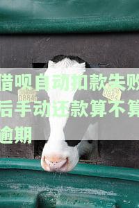 借呗自动扣款失败后手动还款，是否算逾期？