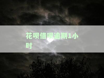 花呗借呗逾期1小时的后果及处理方式