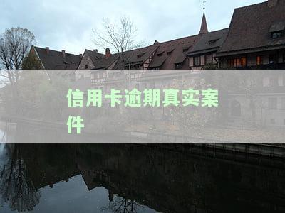 信用卡逾期真实案件