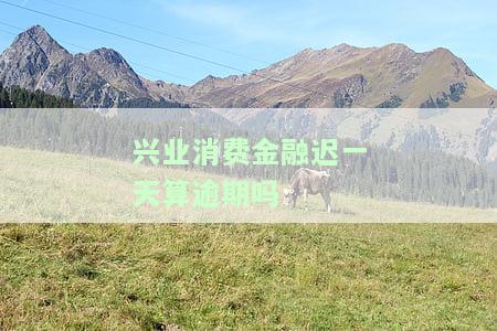 兴业消费金融逾期一天会否上征信？协商还款及无力偿还可采取的措