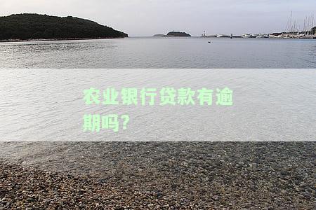 如何处理农业银行贷款逾期？