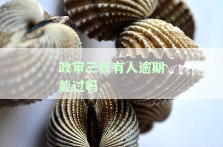 政审三代逾期对通过率有影响？知乎用户分享经验