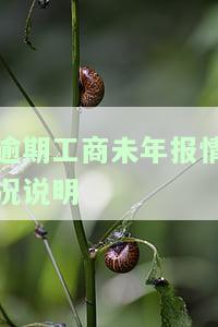 工商未按时做年报的情况说明：如何撰写及注意事