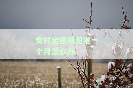 '支付宝逾期一个月，如何解决？'