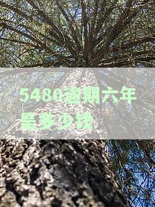 逾期六年如何还款及恢复信用以申请贷款