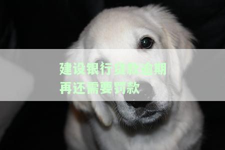 建设银行贷款逾期再还需要罚款吗，建设银行贷款逾期后是否需要缴纳罚款？