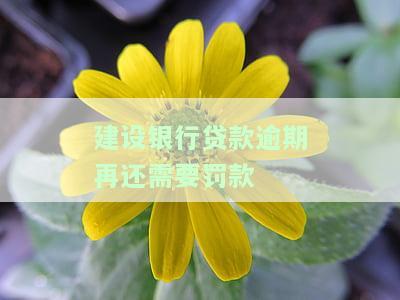 建设银行贷款逾期还款一次,会影响征信记录吗，建行贷款：逾期还款一次会对个人征信产生影响吗？