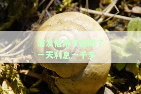 浦发信用卡逾期一天，利息1千多？如何计算与解决？
