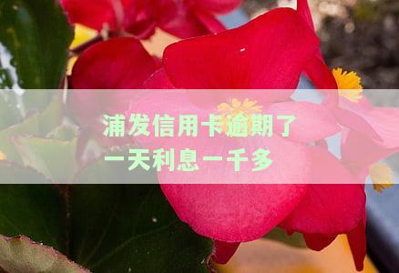 浦发银行逾期一天还款能否只还最低还款额？逾期两天只还最低还款可行吗？
