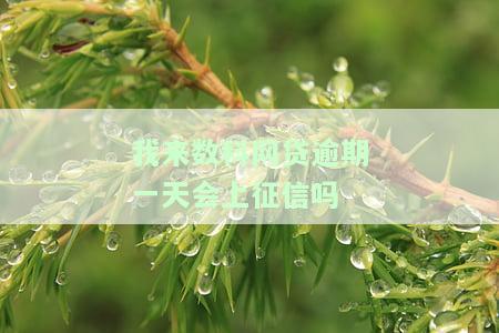 我来数科逾期一天，第二天早上7点还款会爆通讯录吗？