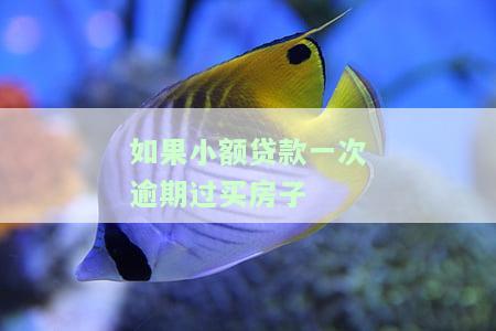 小贷逾期一次会影响购房贷款吗？后果严重吗？