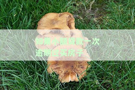 小额贷款逾期一次对房贷有影响吗，小额贷款逾期一次会影响房贷申请吗？