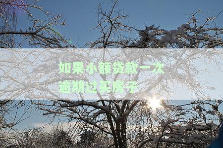 小额贷款逾期还能买房子吗，小额贷款逾期后是否还能购房？影响因素解析