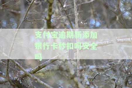 支付宝逾期了绑定的银行卡里面有钱了,会不会自动扣钱，支付宝逾期，绑定卡内有余额会自动扣款吗？