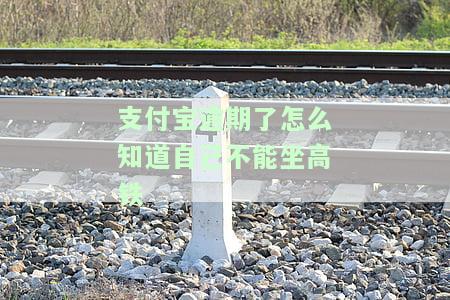 支付宝逾期怎么看有没有上征信，如何查看支付宝逾期是否已上征信？
