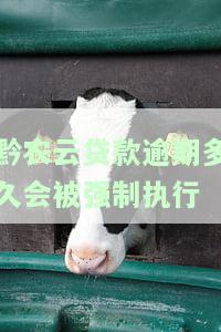 黔农云贷款逾期多久会强制执行？如何避免被强制执行？