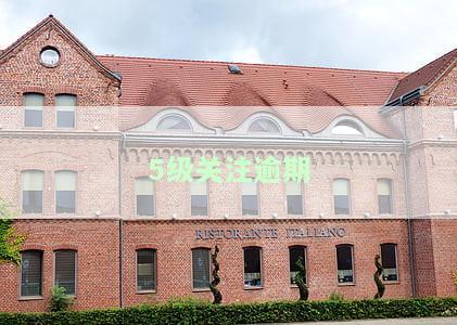 五级关注是什么原因导致的，探究五级关注的原因：深入了解背后的根本因素
