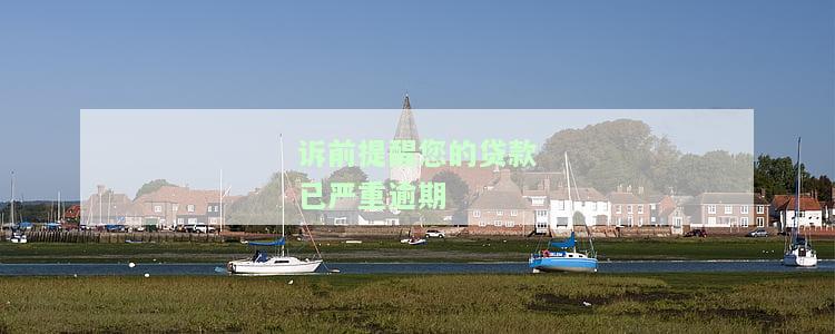 诉前提醒您的贷款已严重逾期，该如何理解？