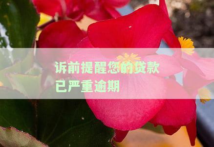 您的贷款已严重逾期短信，警示！您的贷款已严重逾期，请尽快处理