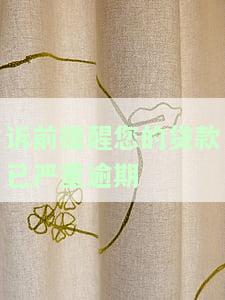 馨提醒：您的贷款已严重逾期，请及时处理！