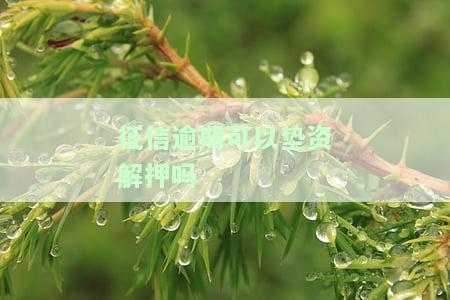征信逾期可以垫资解押吗，垫资解押？你需要了解的关于征信逾期的知识