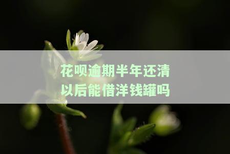 花呗逾期半年还清后多久能申请信用卡？
