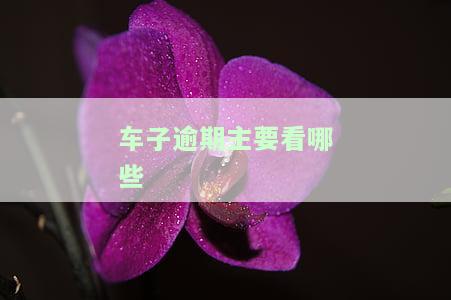 车子逾期会怎么样？后果、处理方式及影响全解析
