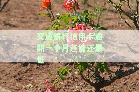 交通银行逾期一个月能否在第二个月还清？