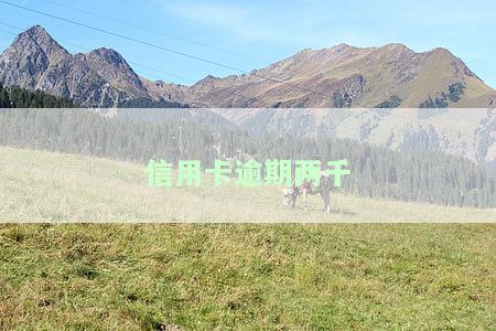 信用卡逾期两千会被起诉吗，信用卡逾期两千，真的会面临被起诉的风险吗？