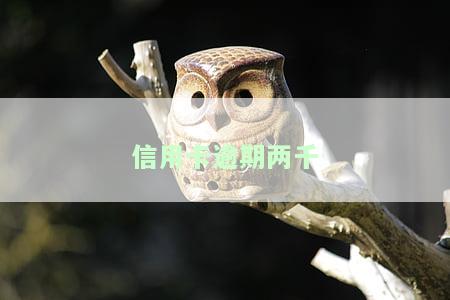 信用卡逾期两千多会否上门？解决方案探讨