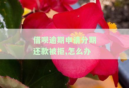 借呗逾期再分期成功,怎么说还是要一次结清呢，借呗逾期后分期成功，为何仍需一次性结清？