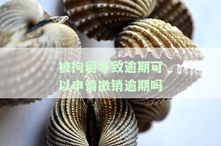 被拘留导致逾期能否申请撤销？知乎上有相关回答吗？