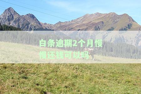 白条逾期2个月慢慢还钱可以吗怎么办，如何处理白条逾期2个月的情况？能否慢慢还款？