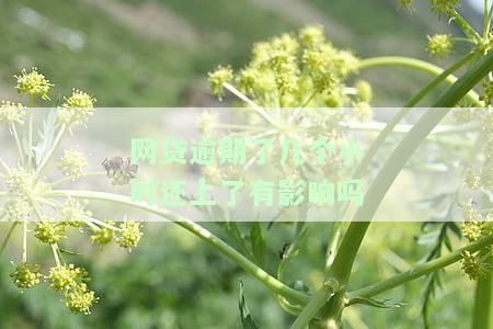 网贷逾期了几个小时还上了有影响吗-网贷逾期几个小时影响大吗