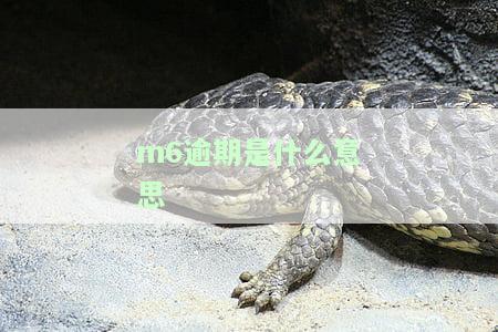 M6逾期率、逾期M6 及M6以上逾期的含义解析