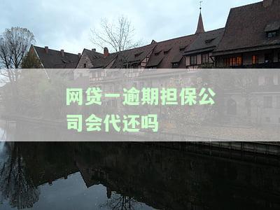网贷一逾期担保公司会代还吗-网贷逾期担保公司代偿