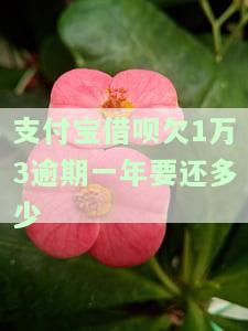 支付宝借呗欠1万3逾期一年需还款及利息是多少？