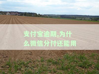 支付宝逾期微信也被冻结吗，微信支付是否也会因支付宝逾期而被冻结？