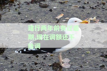 建行逾期三个月后还清，为何现无临时额度？