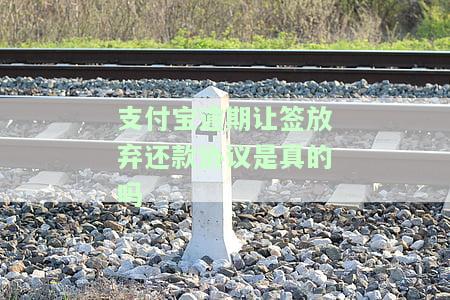 支付宝逾期：真的需要签放弃还款协议吗？安全吗？