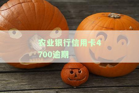 农业银行信用卡4700逾期利息多少，查询农业银行信用卡4700元逾期的利息是多少？